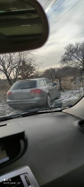 Owce zabrane przez Pogotowie dla Zwierząt z działki ulicy...