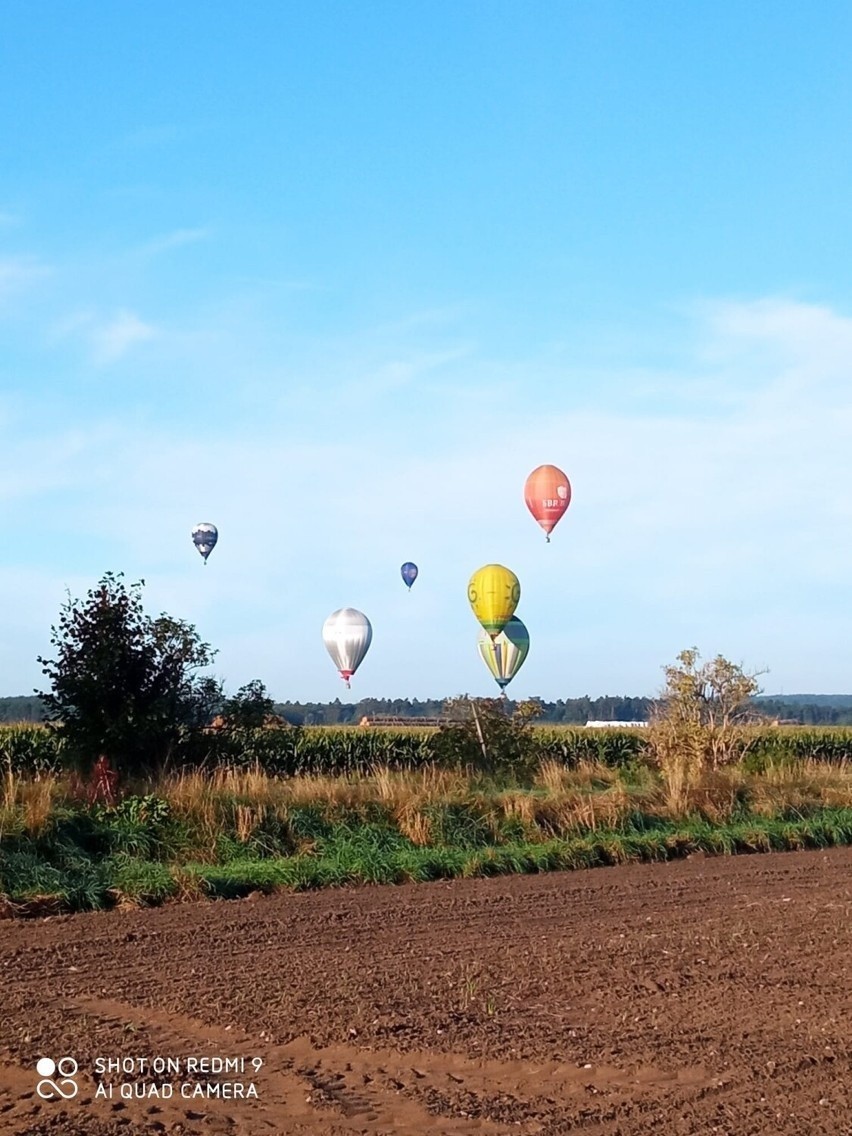 Niebo nad Lesznem usiane dziś balonami.

Zobacz zdjęcia -->