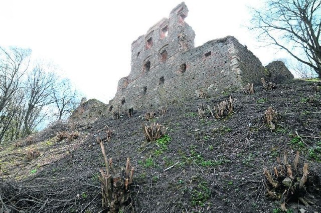Zbocze wzgórza, na którym stoją ruiny posprzątano. Zniknęły krzaki. Dzięki temu zamek widać z daleka.