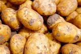 Sok z ziemniaka ma lecznicze właściwości? Potwierdzają to naukowcy z Uniwersytetu Przyrodniczego w Poznaniu. Oto właściwości ziemniaków