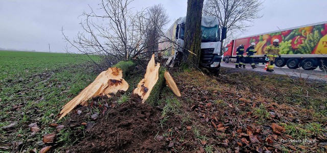 Do zdarzenia doszło 1 lutego o godz. 10.30 na drodze krajowej nr 6 w Karwicach w gm. Malechowo