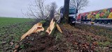 Wypadek w Karwicach. Kierowca ciężarówki uderzył w drzewo [ZDJĘCIA]