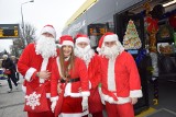 Mikołaje z MZK w Zielonej Górze rozdawali prezenty. Specjalnie przygotowany autobus wiózł uśmiechy i radość!