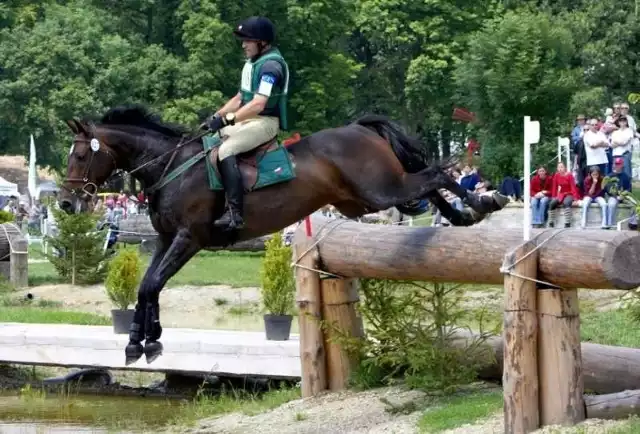 Wag przygotowuje się do startu na igrzyskach olimpijskich w Londynie w najtrudniejszej konkurencji Wszechstronnego Konkursu Konia Wierzchowego (WKKW)