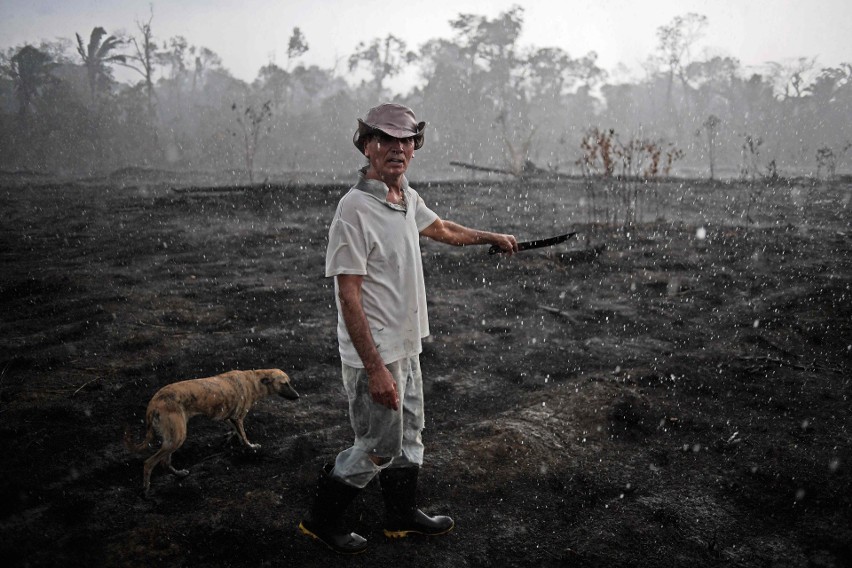 Jacek Pałkiewicz: Za pożarami w Amazonii stoją biznes i polityka