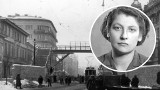 Kim była Cywia Lubetkin – żydowska działaczka podziemia, która przeżyła powstanie w getcie warszawskim?