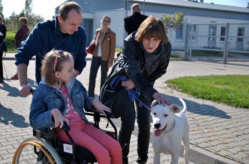 11 zwierzaków z lubelskiego schroniska znalazło nowe domy (ZDJĘCIA)