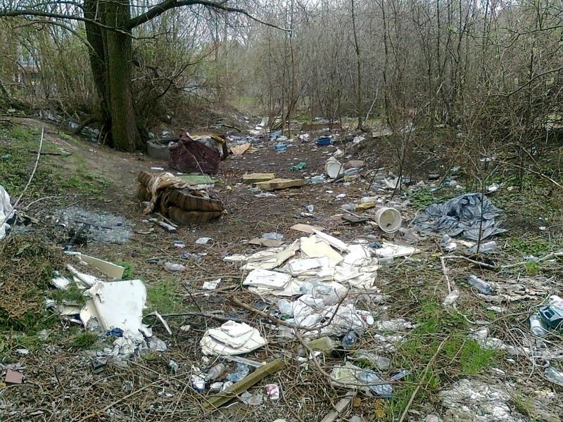 Dzikie wysypisko śmieci w centrum Zielonej Góry