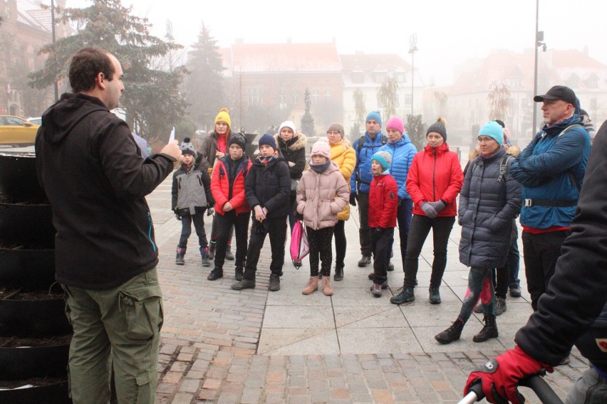 V Myślenicki Orienteering