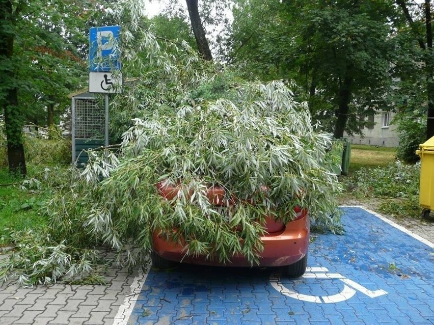 Orkan Eunice w Łodzi i regionie. Wiatr zrywa dachy, linie energetyczne i łamie gałęzie drzew