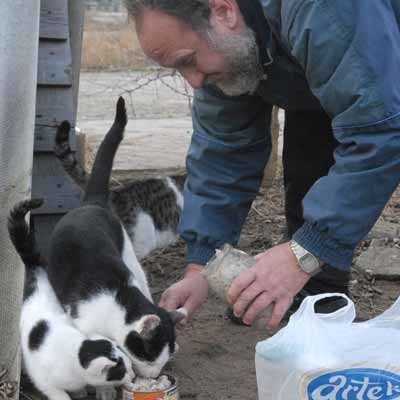 Bogusław Dobrzański od dwóch lat, z pomocą kolegów, opiekuje się kotami