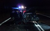 Regiele. Wypadek na DK65 z udziałem łosia. Dwaj kierowcy w szpitalu (zdjęcia)