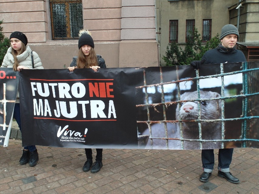 Protest fundacji Viva w Łodzi przeciwko hodowlom zwierząt futerkowych [ZDJĘCIA]