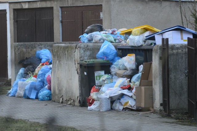 Poznań: Płacimy za śmieci więc czas, by był porządek