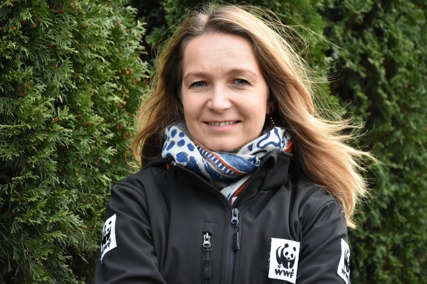 Katarzyna Karpa - Świderek z WWF Polska przekonuje, że...