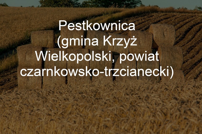 Malowniczo położona wieś, w okolicy Drawieńskiego Parku...