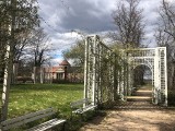 Czerwieńsk. Park w Laskach zachwyca nie tylko starymi dębami. A zabudowania folwarczne przypominają pałac
