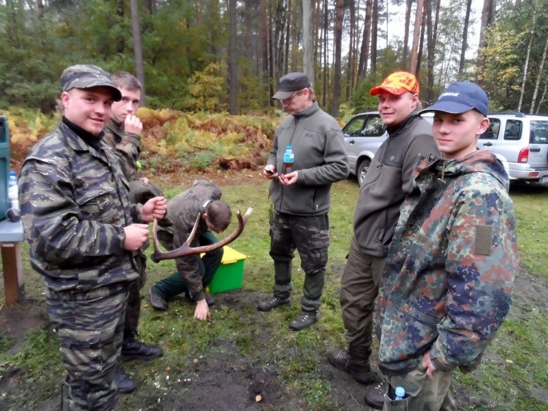 17 Dian polowało na grubą zwierzynę w Koścmidrach, w...