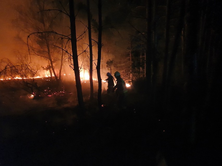 Pożar lasu koło Czaplinka. Nocna walka z ogniem [zdjęcia]