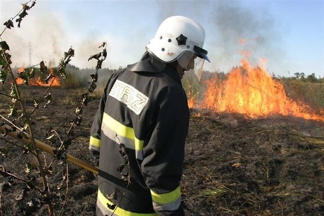 Gaszenie pożaru traw to jedno z najtrudniejszych zadań dla strażaków. Do gaszenia łąk i pól wyjeżdżali w tym roku już 1008 razy - w tym samym okresie ubiegłego roku takich interwencji było 297