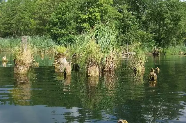 Jeziora Krajnik i Lubiąż