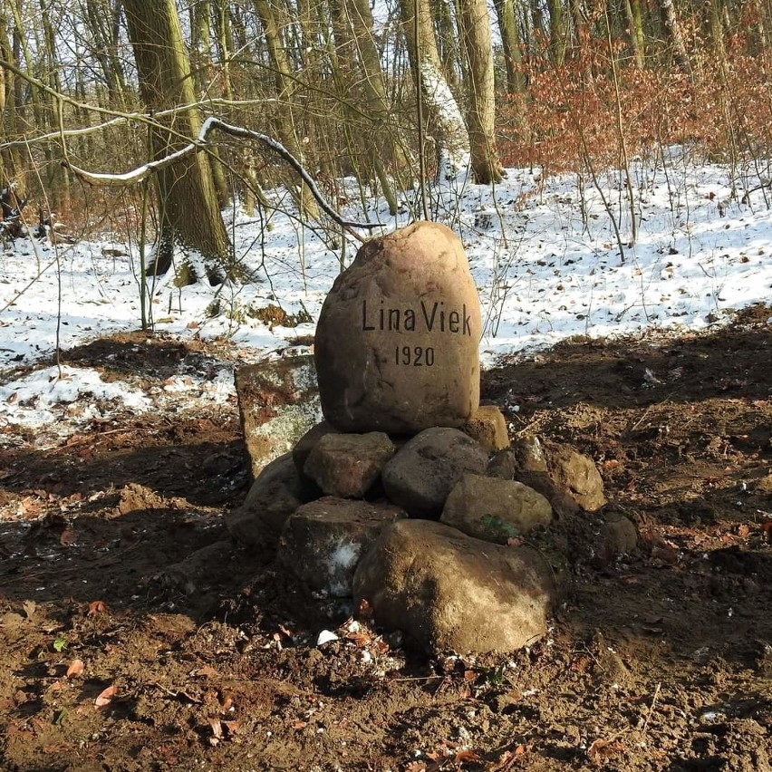 Las Arkoński. Odkopano pamiątkowy kamień z 1920 roku. Komu jest poświęcony?  