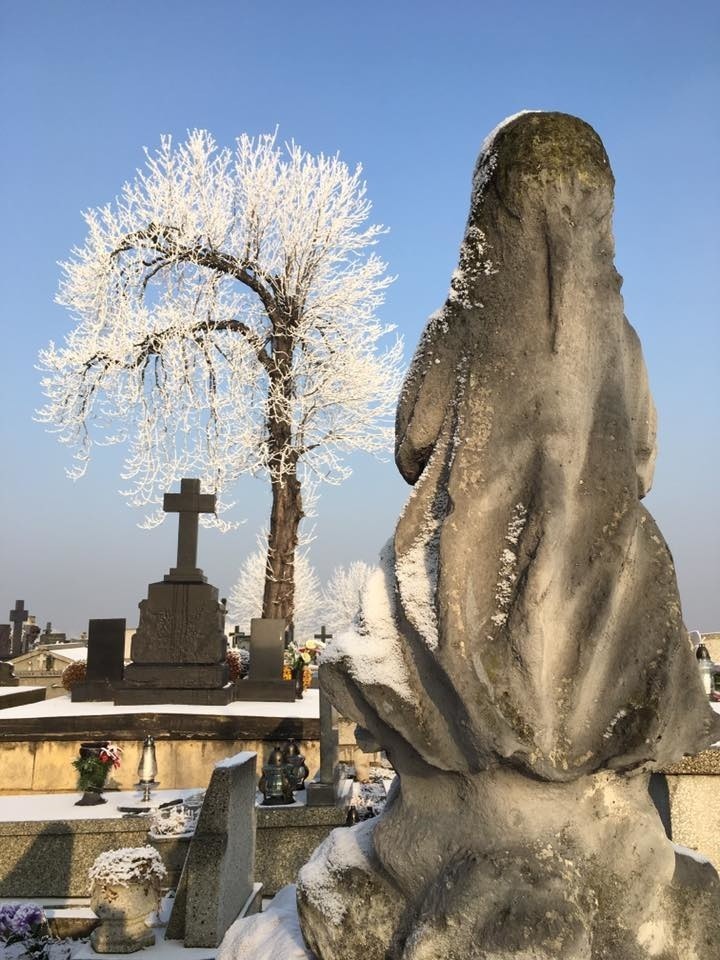 Pięknie oszroniony Będzin. Zobaczcie zdjęcia naszych Internautów