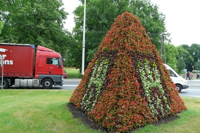 Piramida z herbem Zgierza wykonana została z 3800 kwiatów.
