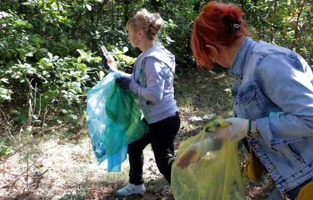 W kilku miejscach grudziądzanie wyposażeni w rękawice i worki pomaszerowali w teren w poszukiwaniu śmieci, których niestety ciągle nie brakuje na terenach zielonych naszego miasta. Sprzątającymi Las "Świętopełka" między Strzemięcinem a Rządzem dowodził Włodzimierz Fede z Biura Gospodarki Odpadami Urzędu Miejskiego w Grudziądzu. Dla biorących udział w akcji przygotowano upominki.