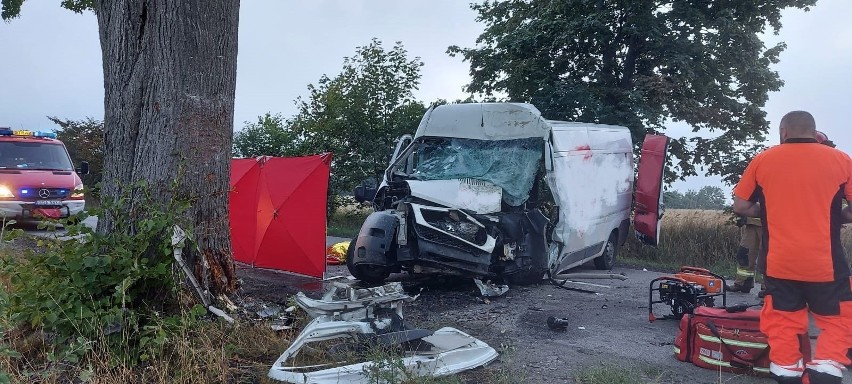Tragedia na Pomorzu. Bus uderzył w drzewo na drodze łączącej Gdańsk ze Starogardem Gdańskim. Kierowca zginął na miejscu