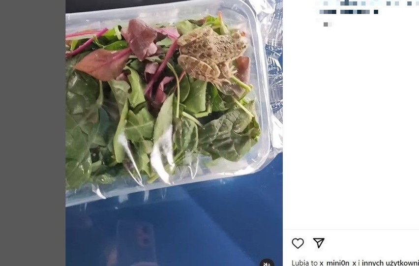 Klientka była zdumiona, gdy zakupione pudełko z warzywami...