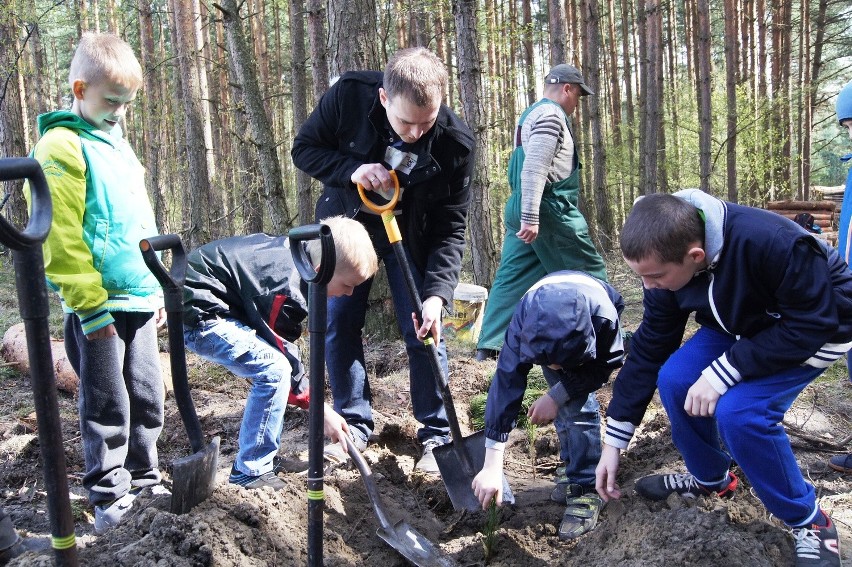 W Siewierzu zasadzili 500 drzewek pod okiem leśników [ZDJĘCIA]