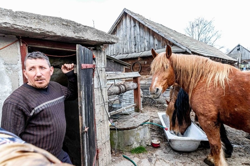 To właśnie perypetie Gienka i Andrzeja, a także Emilki...