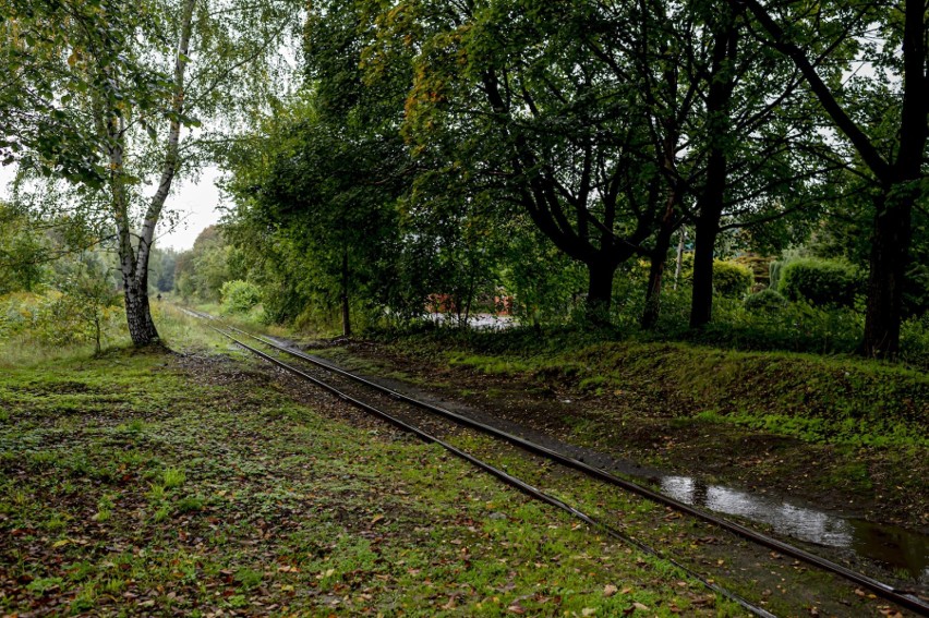 Kolejny odcinek kolei wąskotorowej w Bytomiu-Suchej Górze przejdzie modernizację