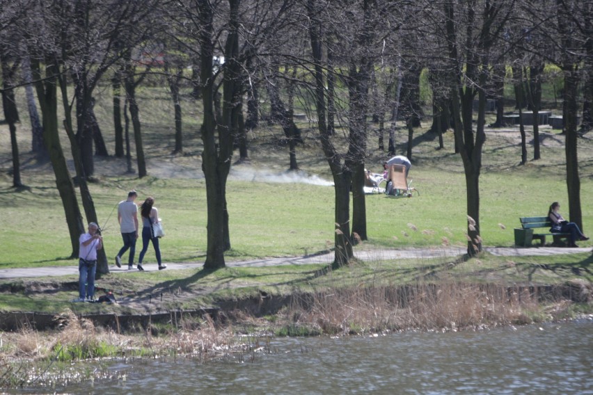 Zajrzeliśmy do Doliny Trzech Stawów w Katowicach