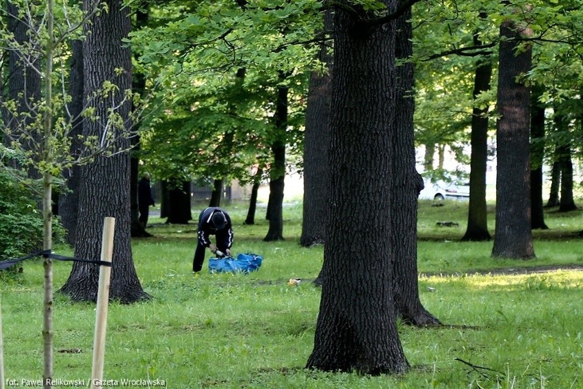 Wielkie sprzątanie na Wittigowie. Studenci dali pracę wrocławianom (ZDJĘCIA)