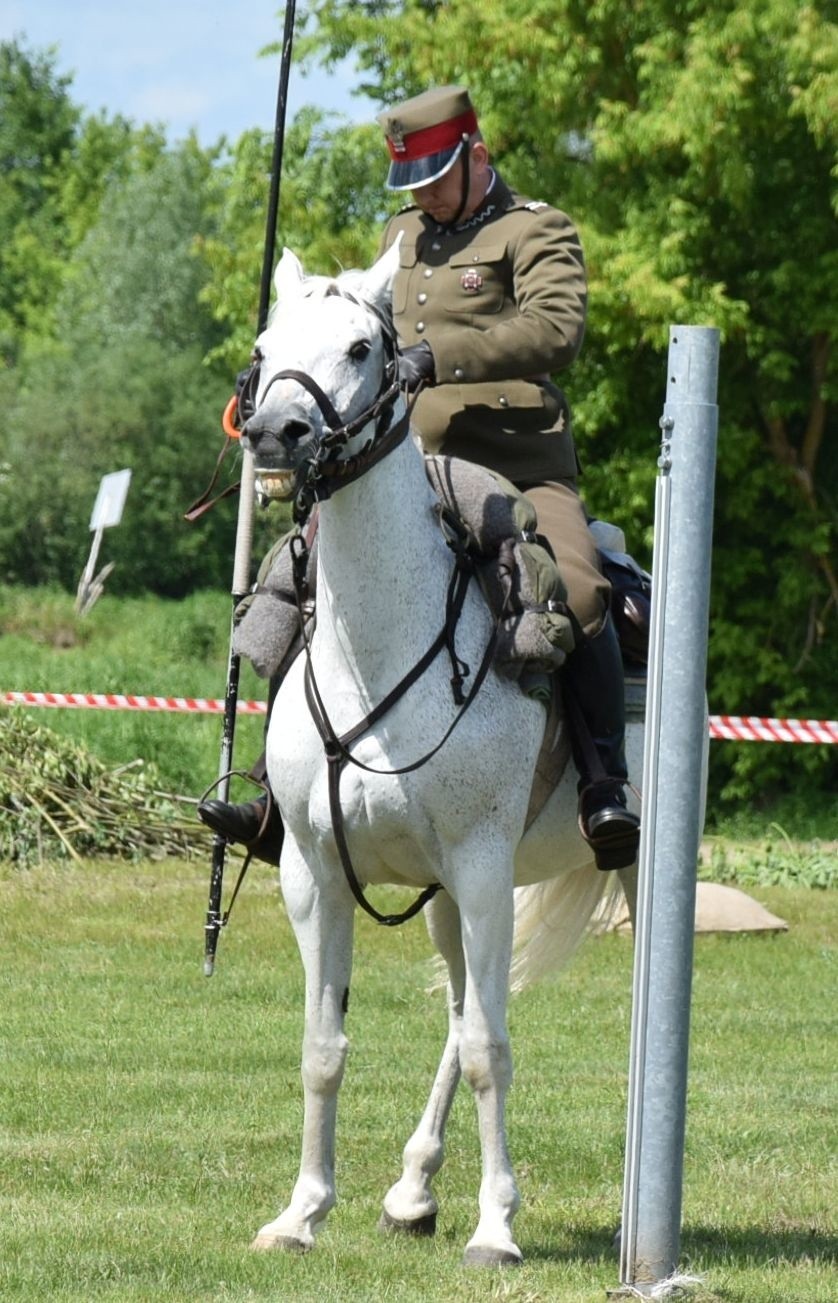 Ostrołęka. Kawaleryjskie zawody nad Narwią. Impreza potrwa dwa dni – 1-2.06.2019