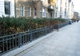 Szczecin dofinansuje zieleń przed budynkami. Pół miliona na to, by było ładniej