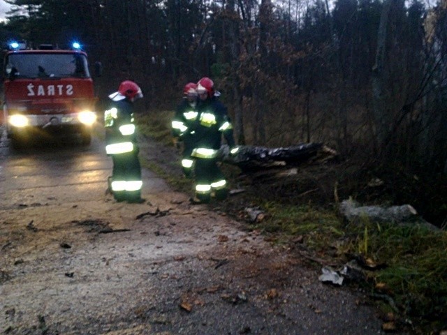 Strażacy z OSP Orzysz udrażniają drogę Strzelniki - Kamieńskie.