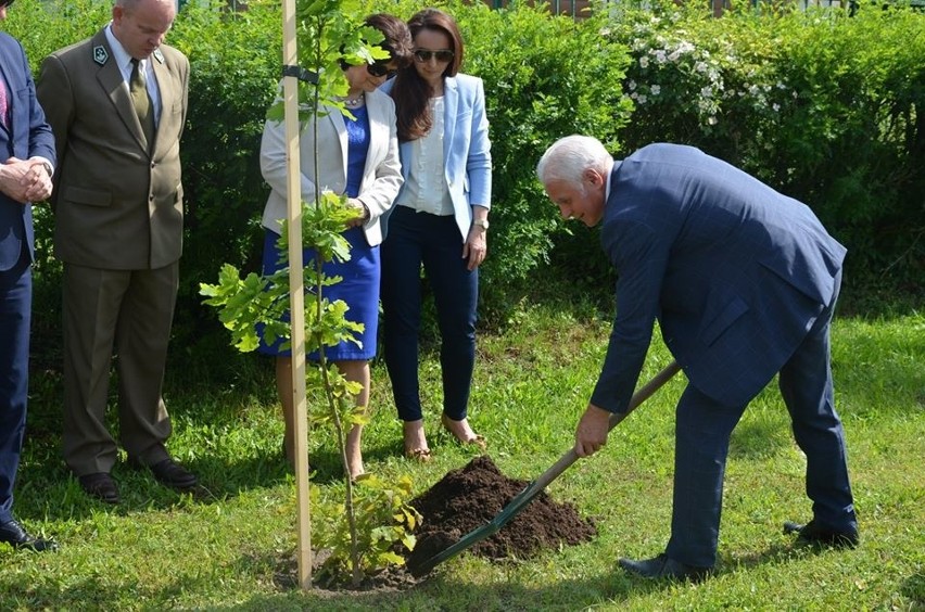 Ostrów Maz. Na terenie ostrowskiego Ekonomika powstała Aleja Dębów