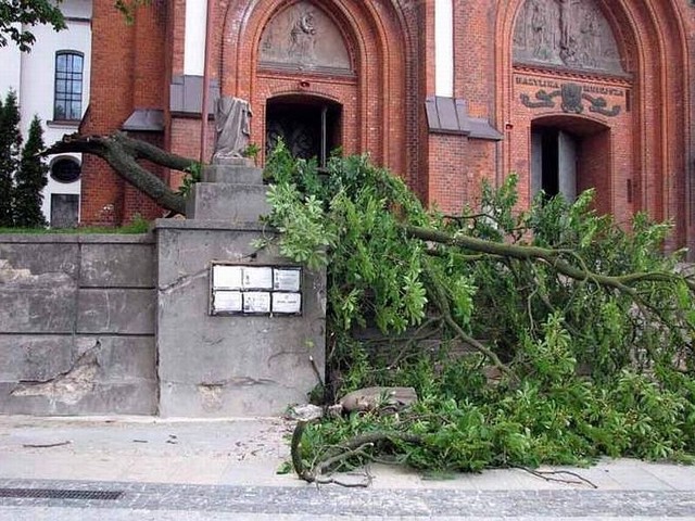 Wichura złamała drzewo i uszkodziła zabytkową rzeźbę przy farze w 2010 roku