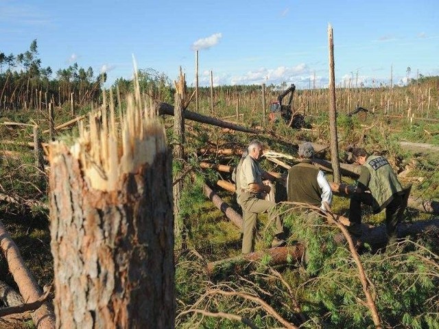 Trwa porządkowanie terenu po lipcowej nawałnicy. Tak było ponad dwa miesiące temu