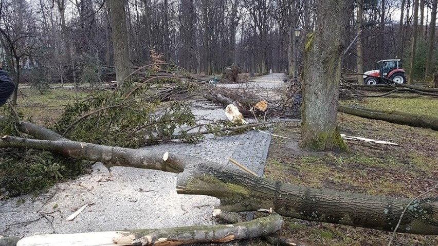 Aż 87 powalonych drzew, zniszczony jeden mostek, kilka...