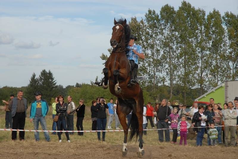 W Jakubowie odbyły się zawody jeździeckie dla amatorów. Dla...