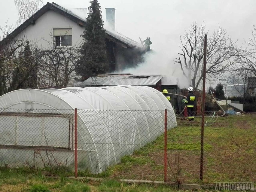 Pożar w Zielęcicach koło Brzegu. Paliła się altana i drewniany barakowóz. Nie ma poszkodowanych