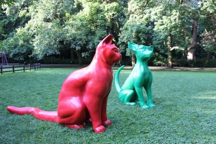 Podróże zielonego psa i czerwonego kota. Dzień 2. - Park...