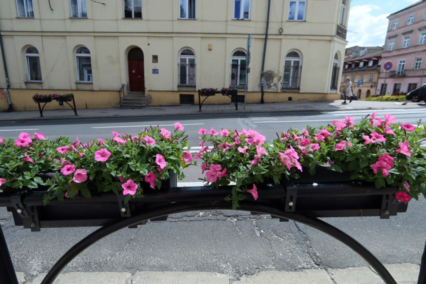 Kwiaty ozdobią ścisłe centrum Lublina. A jak teraz wygląda ukwiecony Lublin?     