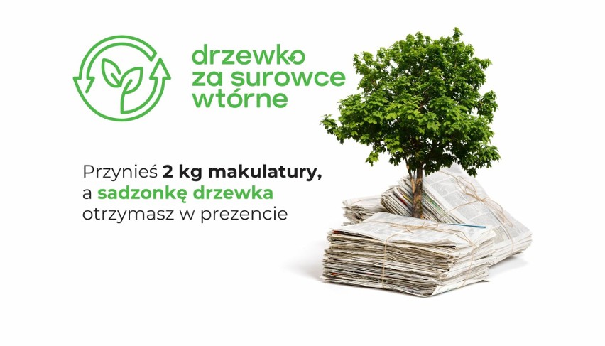 Posadź drzewko, pozbądź się makulatury. Zapraszamy na akcję "Drzewko za surowce wtórne" w Szczecinie