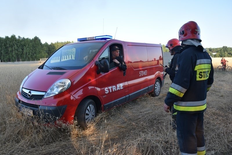 Pożar wysypiska śmieci w Mostkach koło Zduńskiej Woli