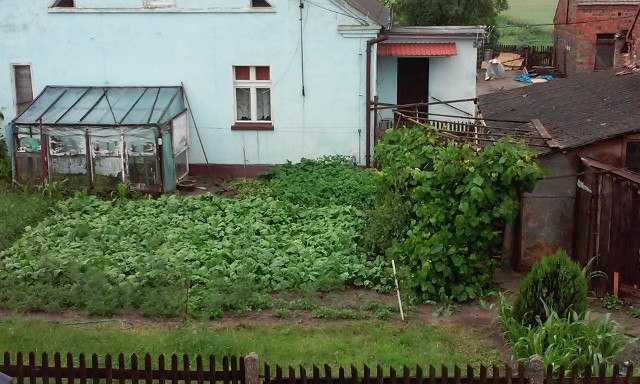 Ogródek Rośliny w ogródku należy dokarmiać. Najlepiej i najbezpieczniej wykorzytsać do tego nawozy organiczne. Dzięki nim warzywa będą dorodne, a i smaczniejsze owoce.